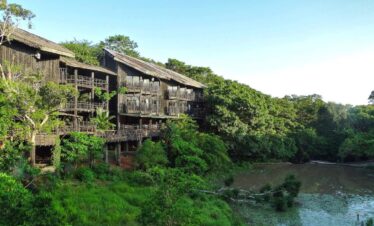 Shimba Hills Day Trip