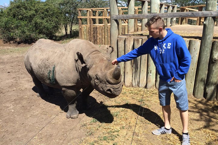 debrazza rhino