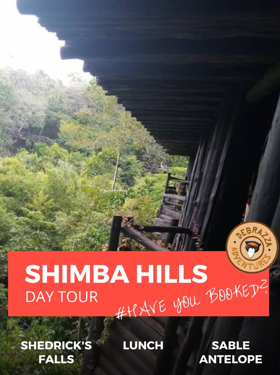 shimba hills day tour