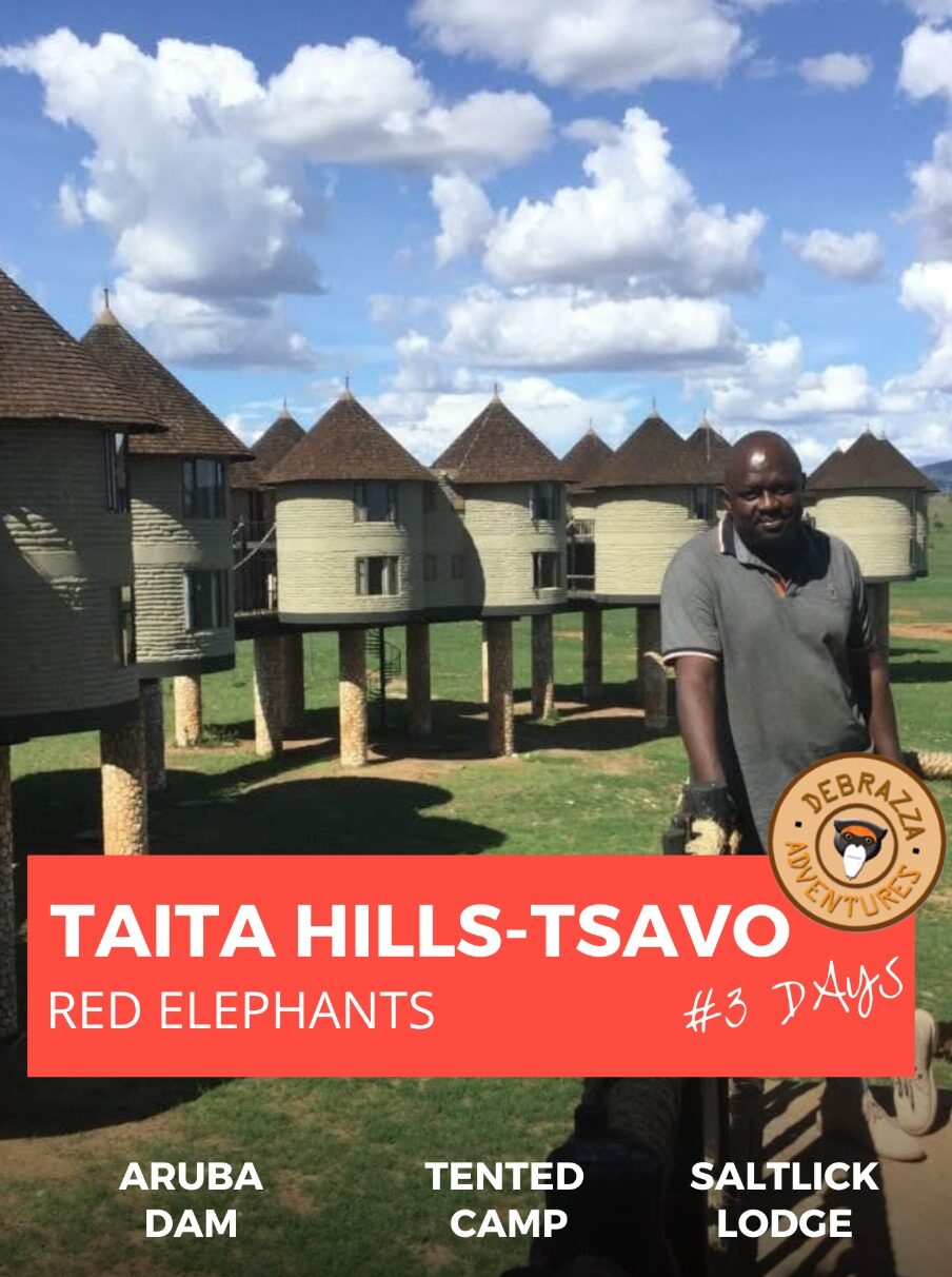 taita hills tsavo safari